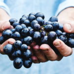 Домашнее вино из винограда: рецепт