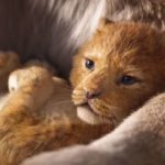 Вышел первый трейлер ремейка легендарного мультфильма «Король Лев» от Disney (ВИДЕО)