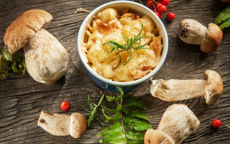 Рецепт жульена с курицей и грибами: блюдо на все случаи жизни