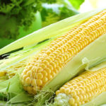 Кукуруза: польза и вред для здоровья
