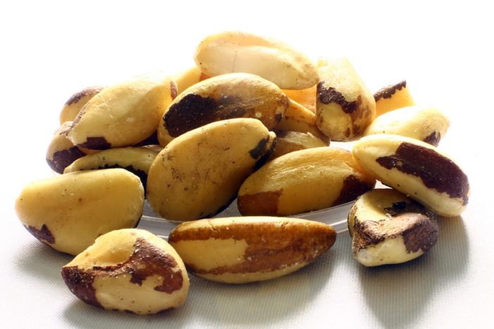виды орехов бразильский орех свойства