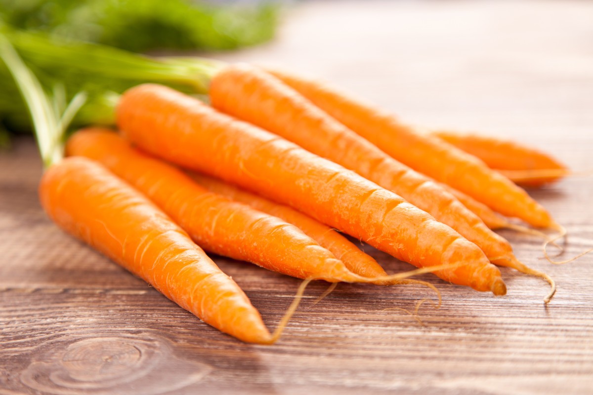Морковь: польза и вред овоща