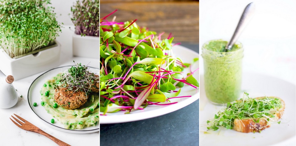 Самые аппетитные фото микрозелени, которые точно заставят вас добавить трендовый суперфуд в свой рацион