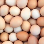 Специалисты развенчали мифы о вреде куриных яиц