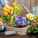 Календарь садовода и огородника на май 2021 года