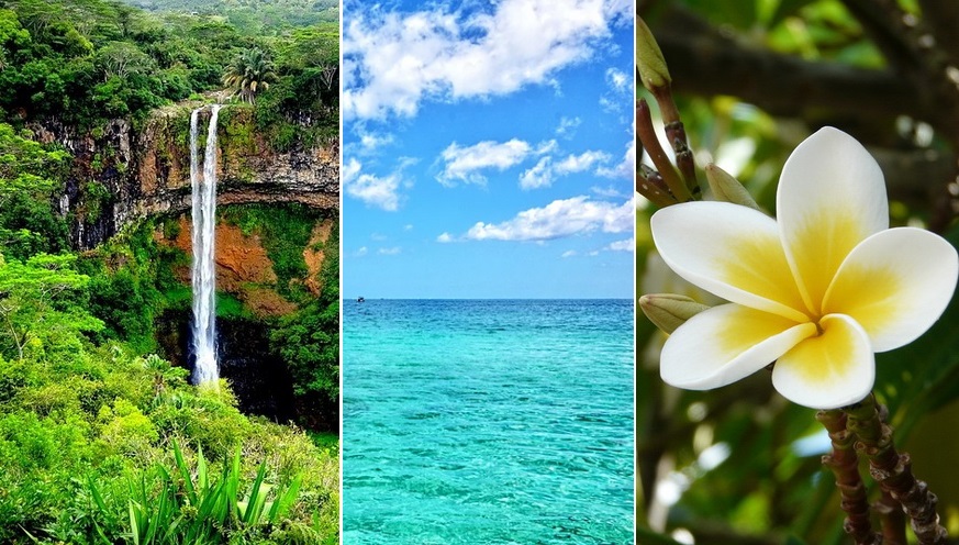 Маврикий: интересные факты о райском месте