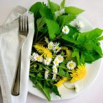 Салат з кропиви і кульбаби: вітамінний рецепт від шефа
