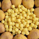 Ліниві вареники з молодої картоплі: рецепт Алекса Якутова