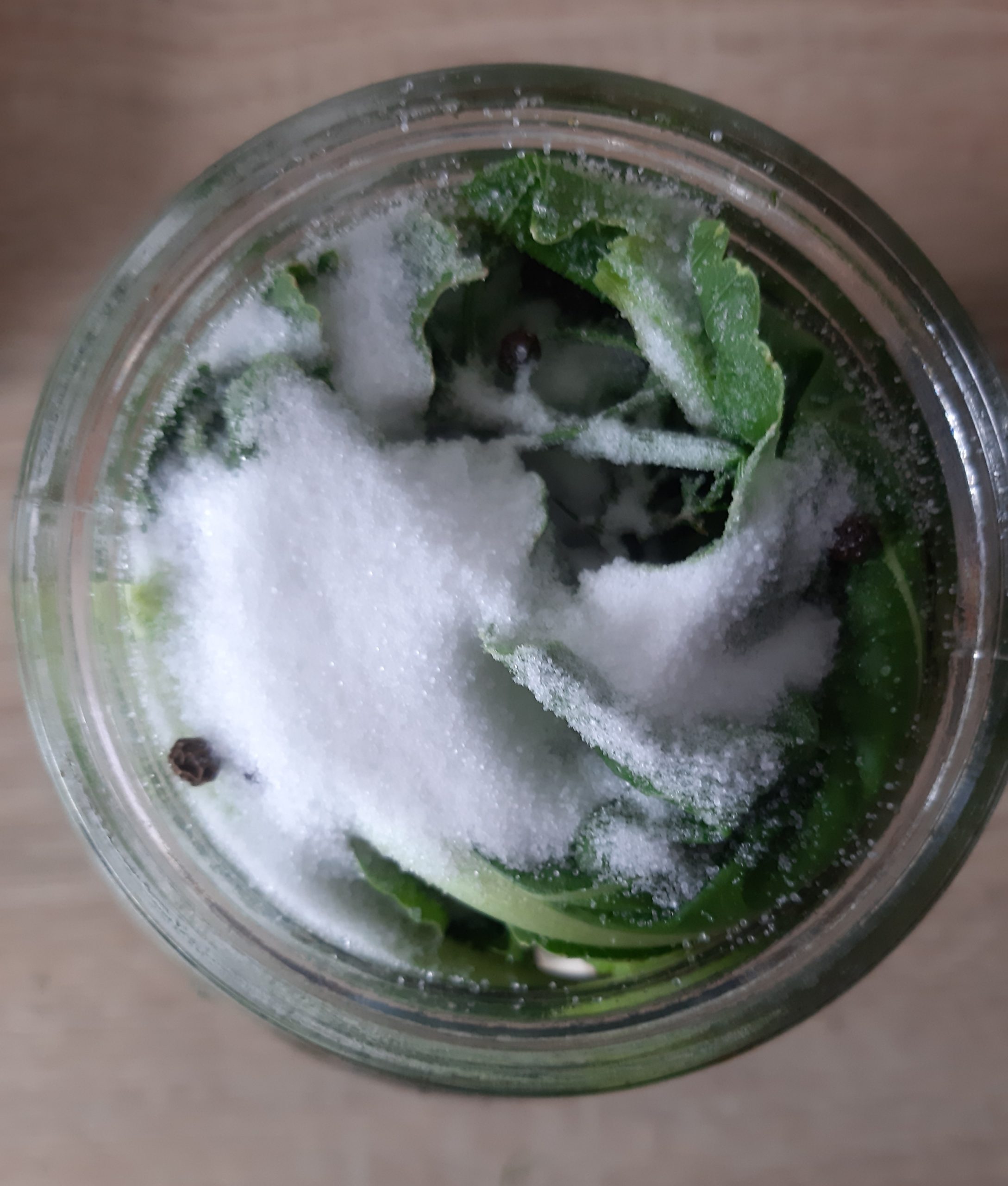 як приготувати швидкі солоні огірки