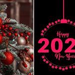 2023 рік якої тварини: символ та яким буде рік